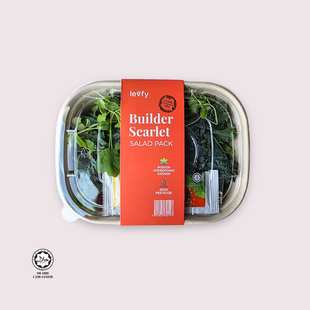 Levfy's Mix & Match Salad Pack Special - Image 3