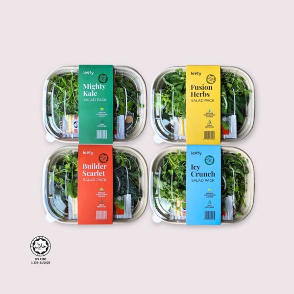 Levfy's Mix & Match Salad Pack Special
