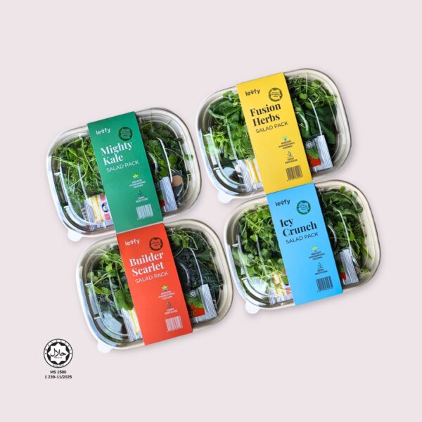 The Levfy Salad Lover's Plan [D]