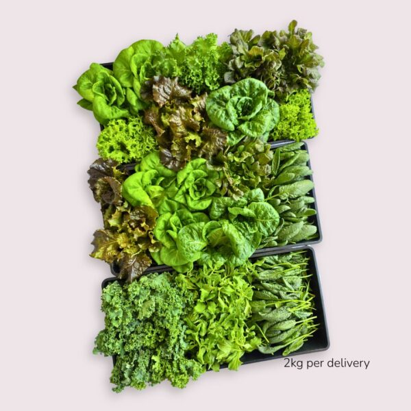 The Green Powerhouse Plan [C]